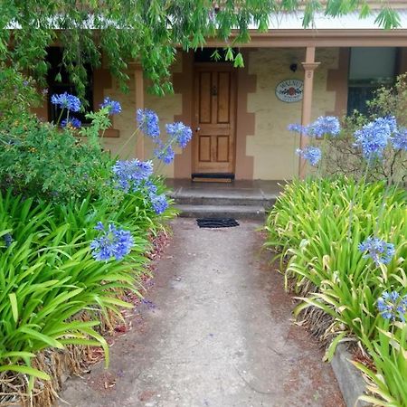 Walnut Cottage Angaston Exterior foto