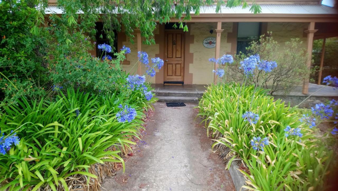 Walnut Cottage Angaston Exterior foto