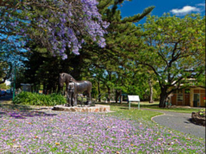 Walnut Cottage Angaston Exterior foto